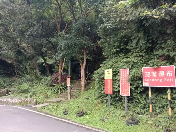 汐止區茄苳越嶺古道+上鹿窟崙山+九層坪山+四分尾山+大尖山8字走2981532