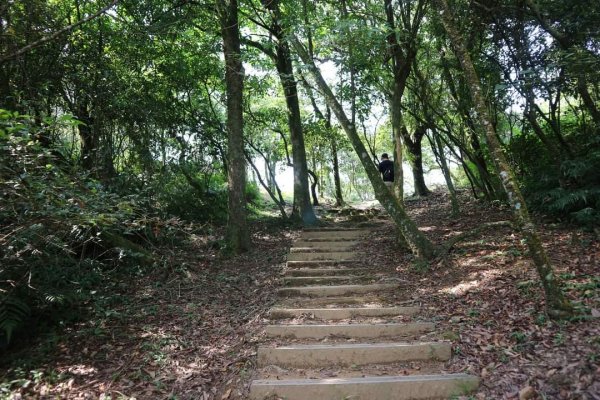 小百岳NO12  汐止大尖山 縱走海拔641公尺 四分子尾山2229066