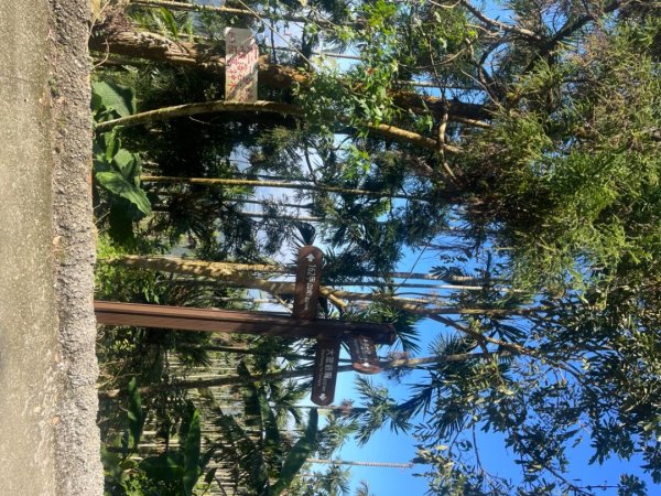 雲嘉五連峰2735887