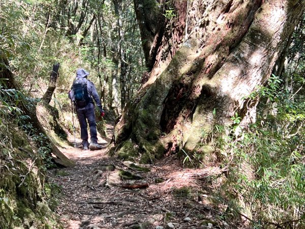 船型山環走大雪山210林道2978046