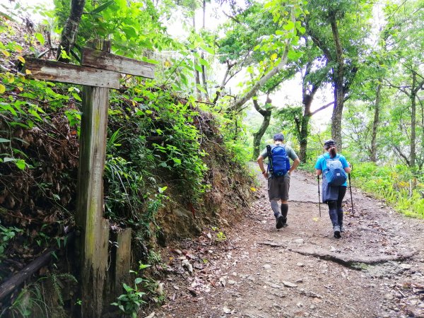 信義~悠然古道處處迷人八通關雲龍瀑布步道972834