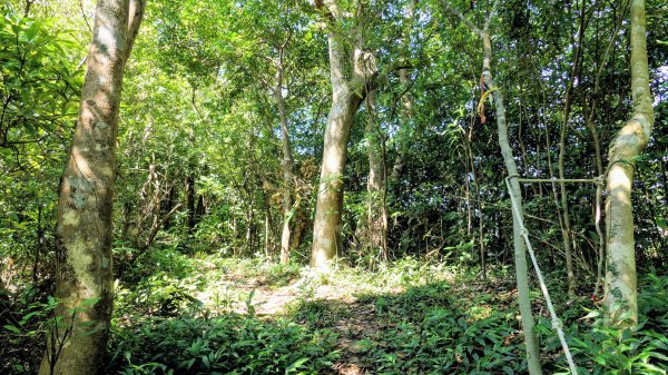 梅竹蹊山,麻竹坑山,苕谷瀑布,蝙蝠山2883306