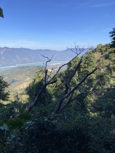 20260214三竹縱走;三腳南山+竹仔尖山3001683