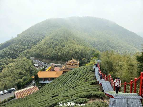 【嘉義梅山】雲嘉五連峰縱走3022301