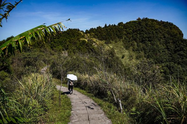 五分山｜小百岳2915444