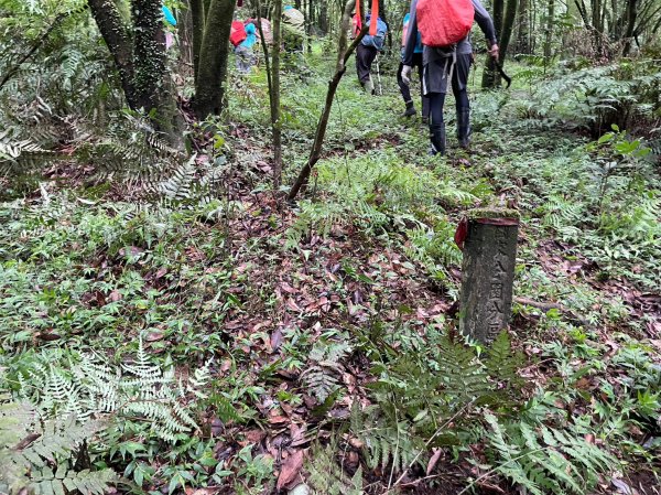 竹篙山山腰古道2204075