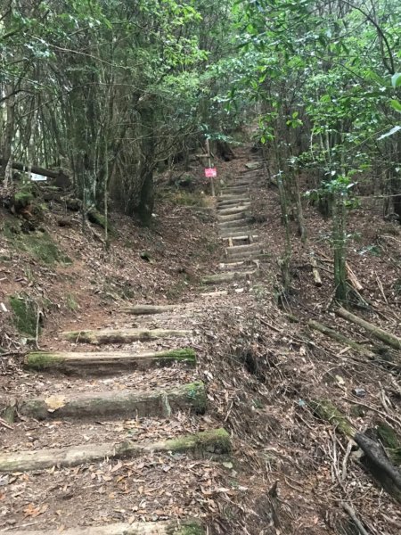 大雪山林道船型山鞍馬山537495