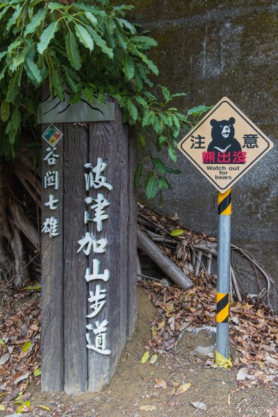 谷關七雄_波津加山2977560