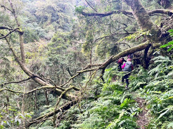 福巴越嶺國家步道2364474