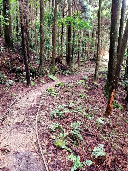 小百岳集起來-加里山2185863