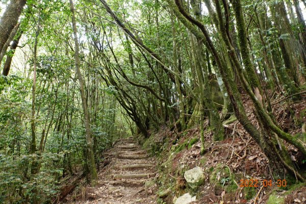 臺中 和平 鞍馬山1697269