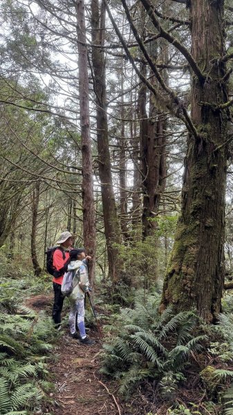 20250913小百岳三星山2885241