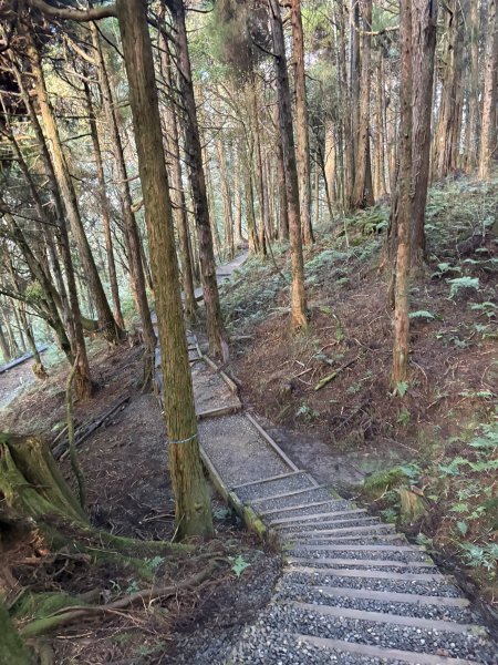 20251225塔山步道(大塔山)2970295