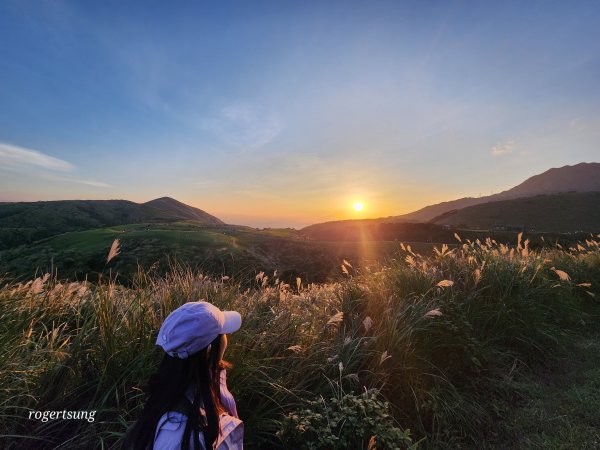 秋芒夕落，譜成令人心醉的浪漫擎天崗封面