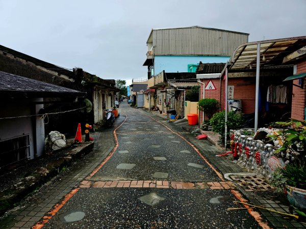 草嶺古道 - 2024草嶺古道芒花季2650880