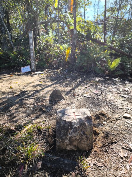 2025-12-21 武界山、獅凸魯山、橫屏山、橫屏山西峰2969704