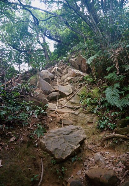 五寮尖登山步道1383105