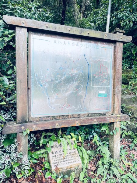 20250713 臺北大縱走第五段（劍潭到碧山巖）2835417