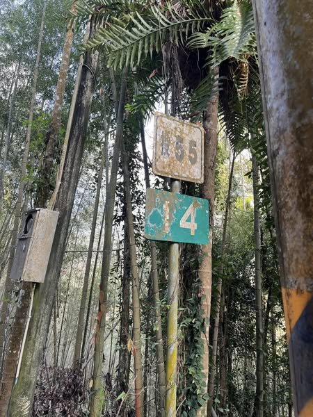 鹿谷長源圳生態步道2726250