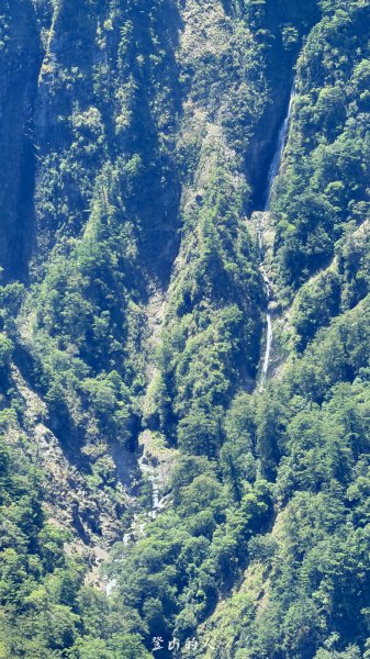 玉山主東北3087230