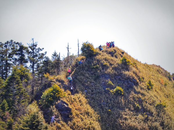 「郡大山」登山懶人包看這裡—週末人超多的親民百岳路線～