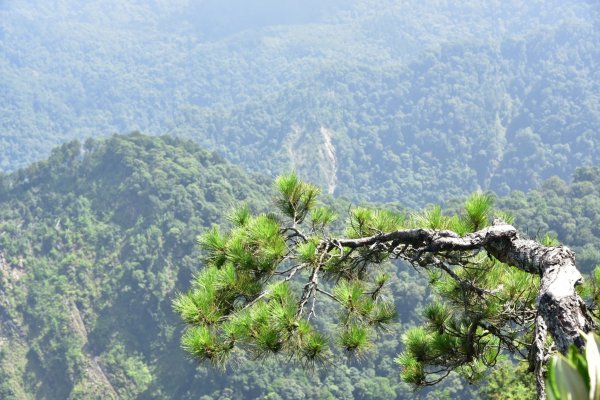 鳶嘴山1086154