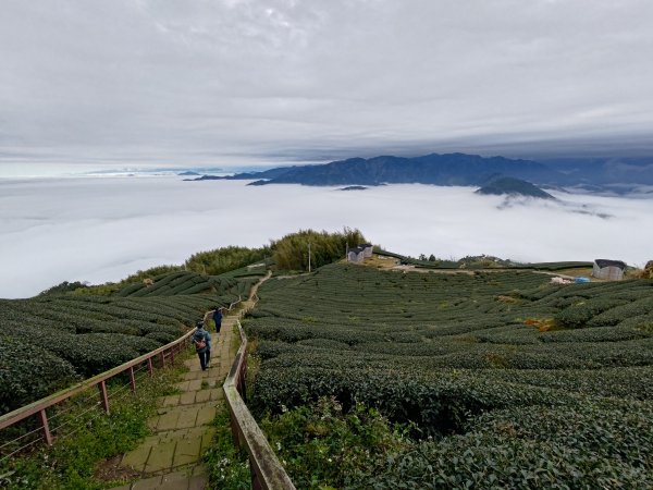 雲嘉大尖山2701288