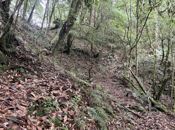 2025_0622 霞喀羅大山2819217