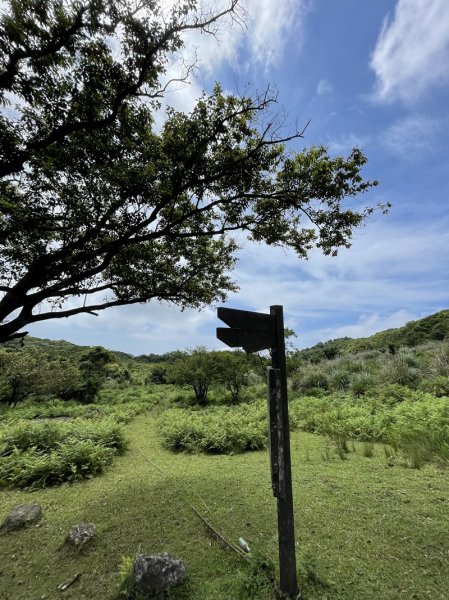 淡基橫斷古道(擎天崗-大武崙)2509365