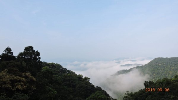 二格公園日出&石碇雲海國小雲海601739