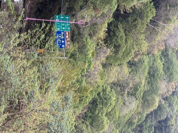 1150403塔曼山3035724