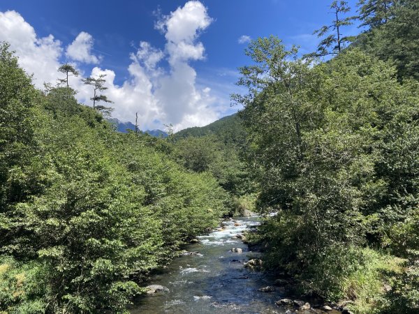 雪山東峰2266431