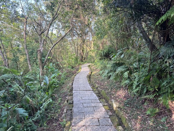 台北大縱走六七段2752092