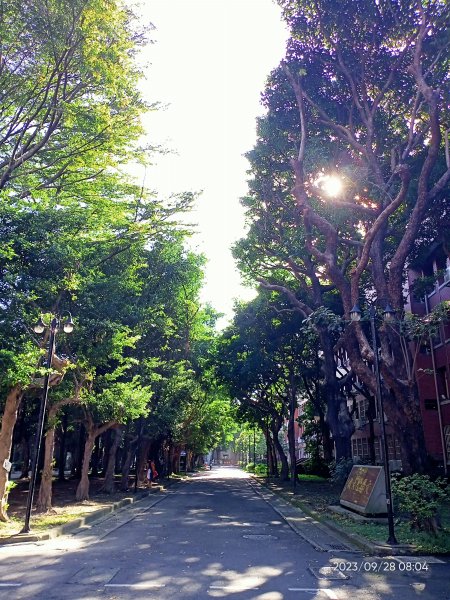 師大公園、師大本部 (國立臺灣師範大學和平校區) 【走路趣尋寶、健康大穀東】2298580