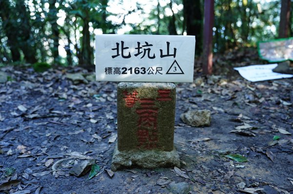 苗栗 泰安 東洗水山、北坑山、大板根2613358