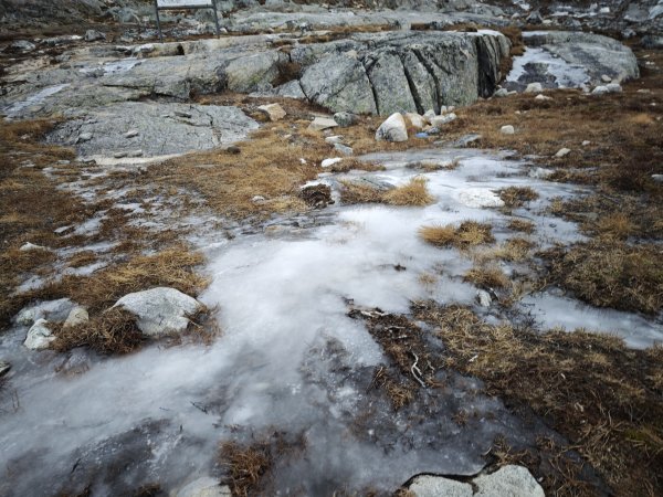 [紐約馬之行-44] 2025_1108 努克環狀步道 1/52951121