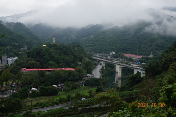 新北 坪林 大尾山(鬼子瀨尖山)1499519