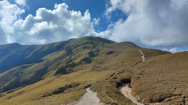 合歡山北峰1377984