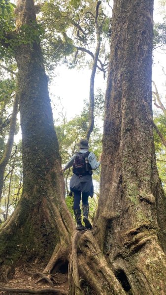 橫沙笛縱走2668666