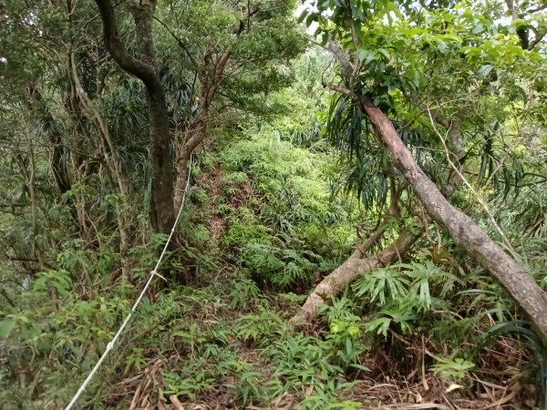 平溪區平溪子山遇雷雨O型2850140