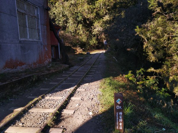 自忠山、東水山、北霞山、特富野古道826574