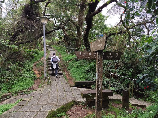 【臺北大縱走6】中華科大步道→九五峰→南港山→糶米古道→軍功山→中埔山→福州山公園→富陽自然生態公園2730084
