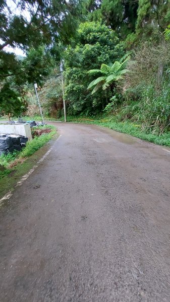 110/11/28苗栗縣南庄鄉三角湖山、向天湖山、光天高山O型1537898