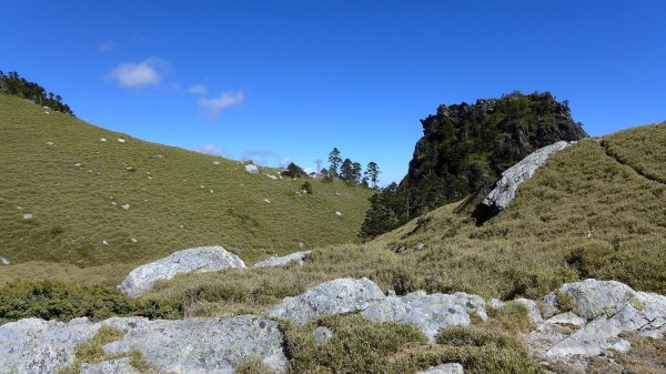 大好天氣的奇萊東稜488935