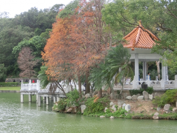 碧湖公園．碧湖步道．大溝溪96003