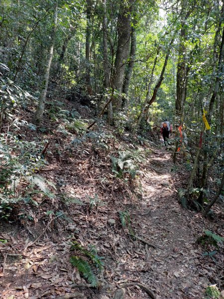 關刀山-關刀山西峰-西關刀山北峰 2021.4.31344321