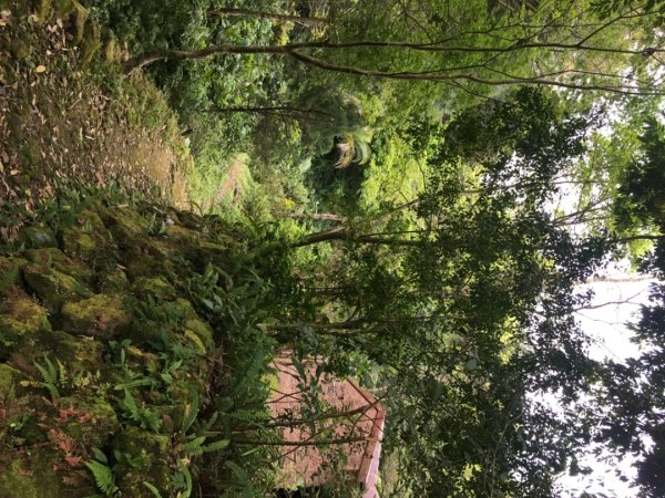 赤柯山、東獅頭山2748546