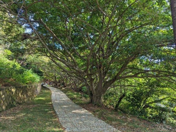 北投公園→地熱谷→硫磺谷→龍鳳谷→湖底聚落→陽明山總站(公車)1507508