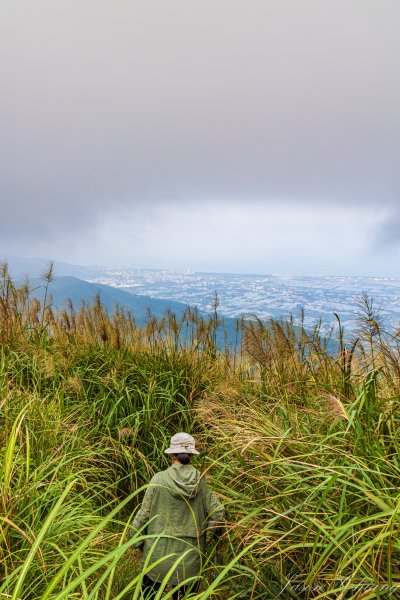 [宜蘭]鵲子山