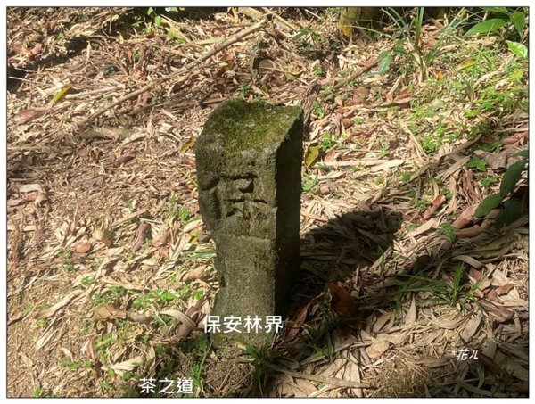 頂石棹步道群、樂野山、霹靂山 d型路線2749169